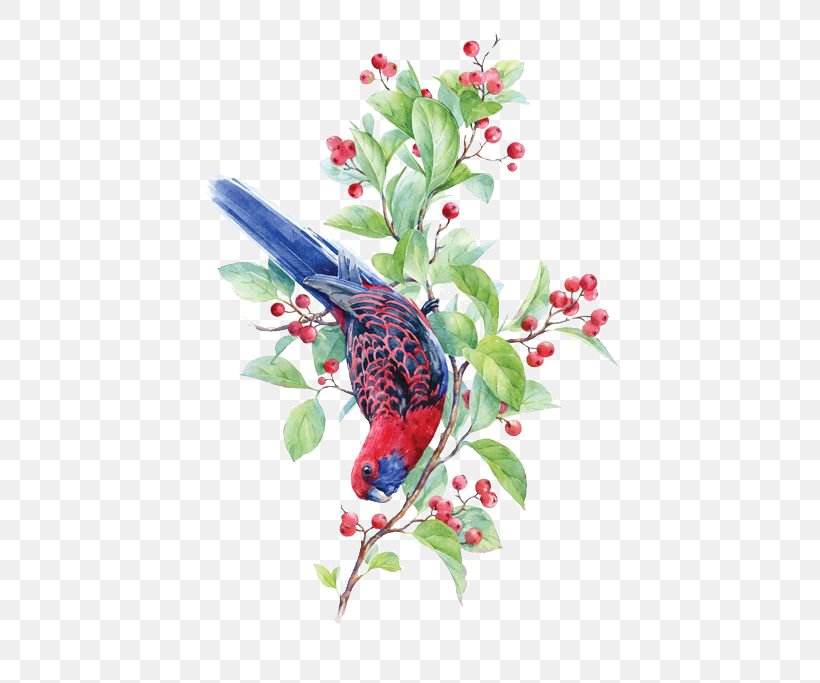 Bird Crimson Rosella Watercolor Painting Illustration, PNG, 500x683px, Bird, Animal, Art, Beak, Branch Download Free