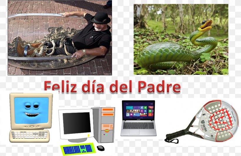 Flora Fauna Computer Hardware Display Advertising, PNG, 1502x973px, Flora, Advertising, Brand, Communication, Computer Download Free