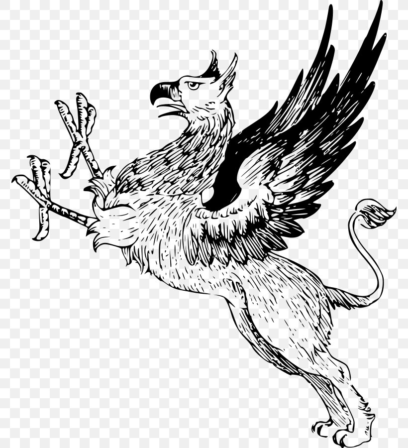 Griffin T-shirt Heraldry Clip Art, PNG, 774x900px, Griffin, Art, Beak, Bird, Bird Of Prey Download Free