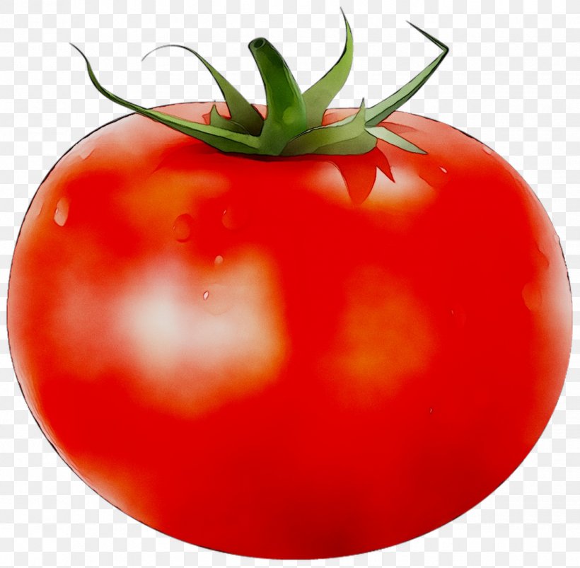 Plum Tomato Bush Tomato Food Vegetable, PNG, 1121x1098px, Plum Tomato, Annual Plant, Bush Tomato, Cherry Tomatoes, Dreamstime Download Free