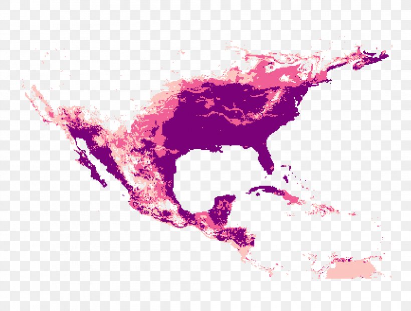 United States Central America American Civil War World Map, PNG, 2087x1580px, United States, American Civil War, Americas, Blank Map, Central America Download Free