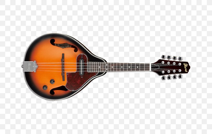 Electric Mandolin Ibanez M510 Musical Instruments, PNG, 666x518px, Watercolor, Cartoon, Flower, Frame, Heart Download Free