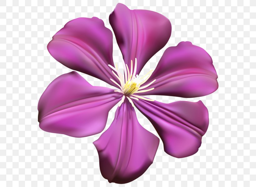 Flower Purple Violet Clip Art, PNG, 597x600px, Flower, Blue, Cut Flowers, Floral Design, Flowering Plant Download Free