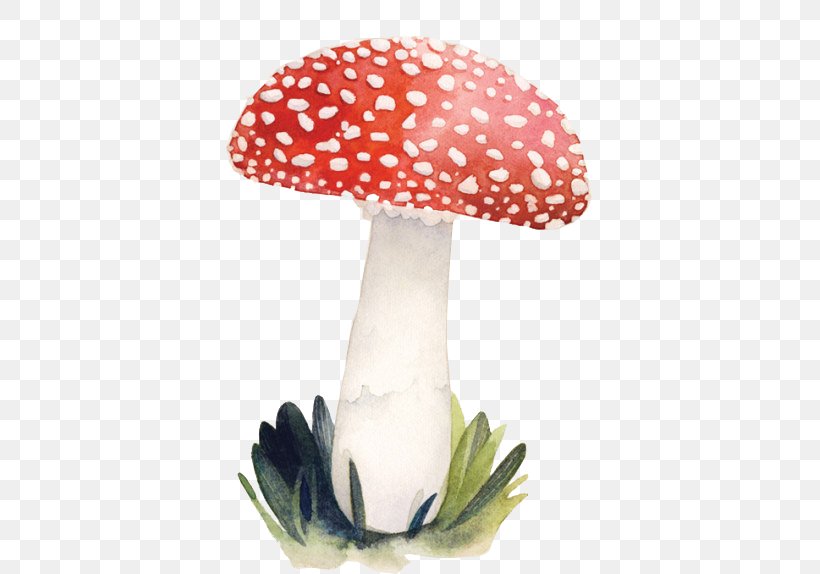 Illustrator Mushroom Illustration, PNG, 440x574px, Illustrator, Book Illustration, Drawing, Idea, Isabelle Arsenault Download Free