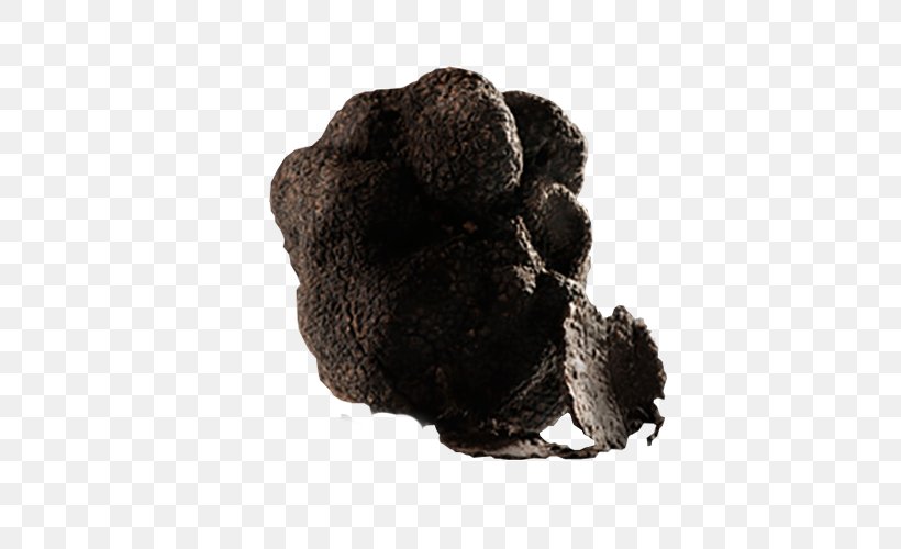 Truffle Tuber Aestivum Food Tuber Uncinatum Product, PNG, 500x500px, Truffle, Beige, Brown, Food, Fur Download Free