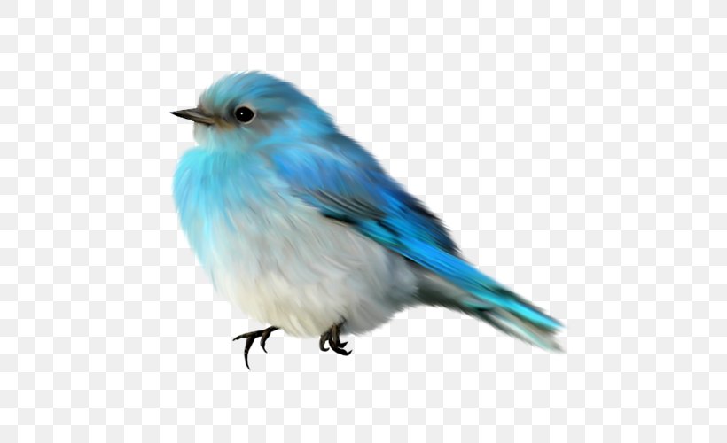 Bird Blue Bazaar, PNG, 500x500px, Bird, Bazaar, Beak, Blue, Bluebird Download Free
