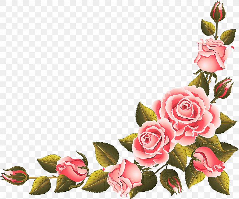 Garden Roses, PNG, 3000x2504px, Pink, Bud, Cut Flowers, Flower, Flowering Plant Download Free