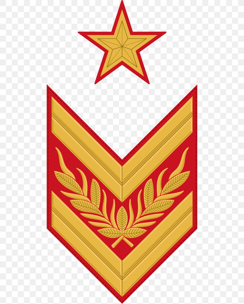 Marshal Of The Soviet Union Military Rank, PNG, 506x1023px, Soviet Union, Army, Army Officer, Badge, Gradbeteckning Download Free