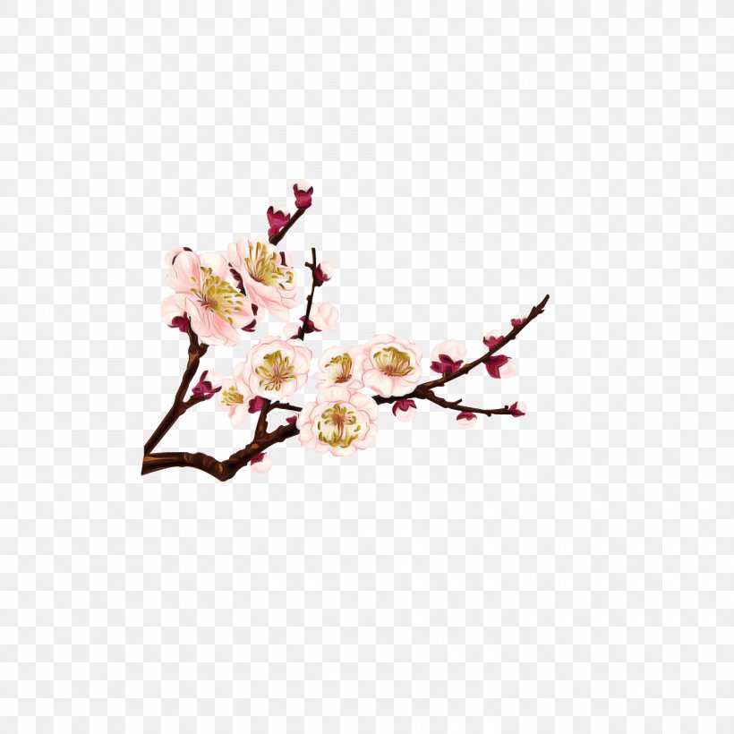 Cherry Blossom, PNG, 1500x1500px, Flower, Blossom, Branch, Bud, Cherry Blossom Download Free