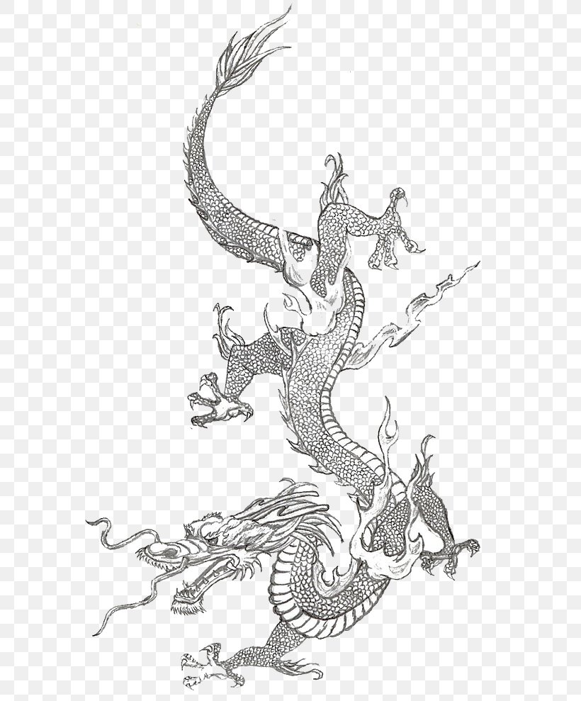 Chinese Dragon China Japanese Dragon Sketch, PNG, 601x989px, Dragon