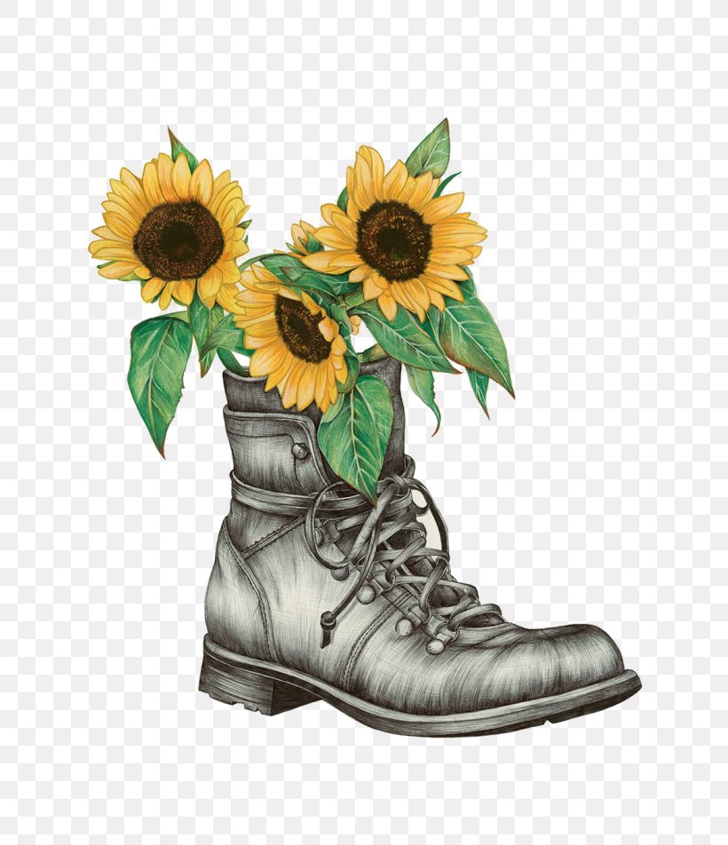 Common Sunflower Drawing Watercolor Painting Boot, PNG, 700x952px, Common Sunflower, Art, Boot, Color, Daisy Family Download Free