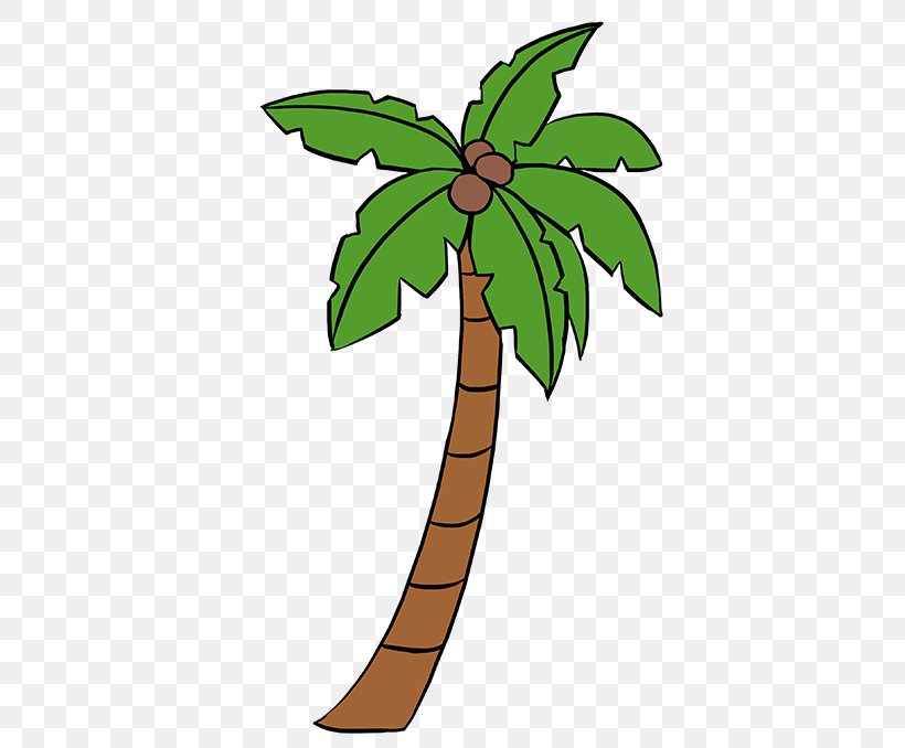 Drawing Palm Trees Image Illustration, PNG, 680x678px, Drawing, Arecales, Botany, Branch, Cartoon Download Free