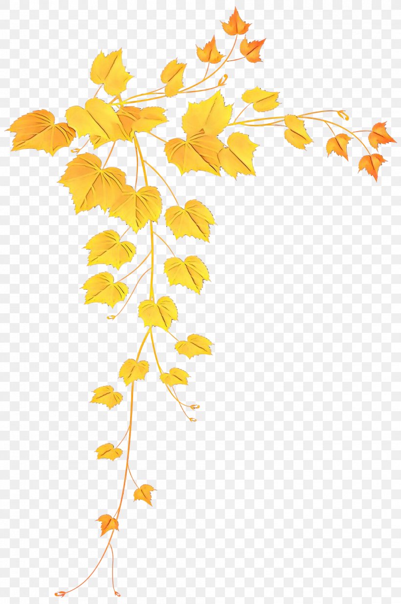 Leaf Tree Yellow Plant Woody Plant, PNG, 1992x3000px, Cartoon, Black Maple, Branch, Flower, Leaf Download Free
