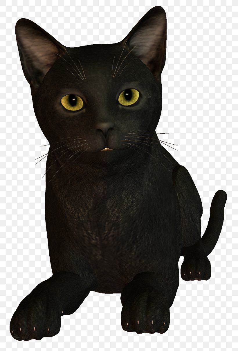 Bombay Cat Burmese Cat Korat Black Cat, PNG, 815x1211px, Bombay Cat, American Wirehair, Asian, Black Cat, Bombay Download Free