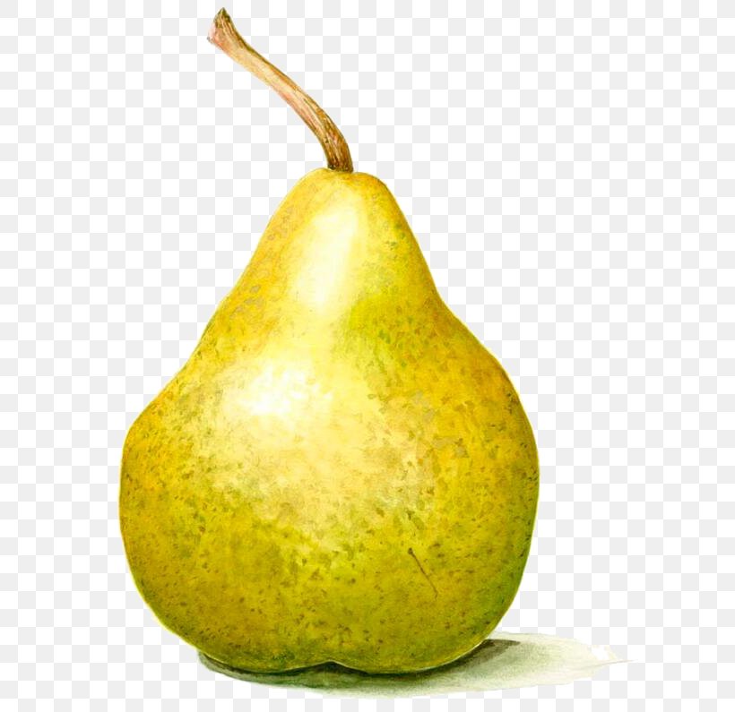 Pear Paper Watercolor Painting Drawing, PNG, 675x795px, Pear, Art, Decoupage, Drawing, Food Download Free