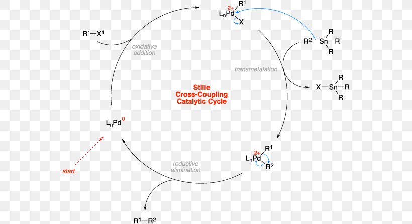 Stille Reaction Coupling Reaction Ullmann Reaction Chemical Reaction Catalysis, PNG, 572x446px, Stille Reaction, Area, Brand, Catalysis, Catalytic Cycle Download Free
