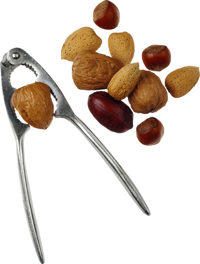 Walnut Dried Fruit Peanut Nuts, PNG, 852x1126px, Nut, Acorn, Auglis, Chestnut, Cutlery Download Free