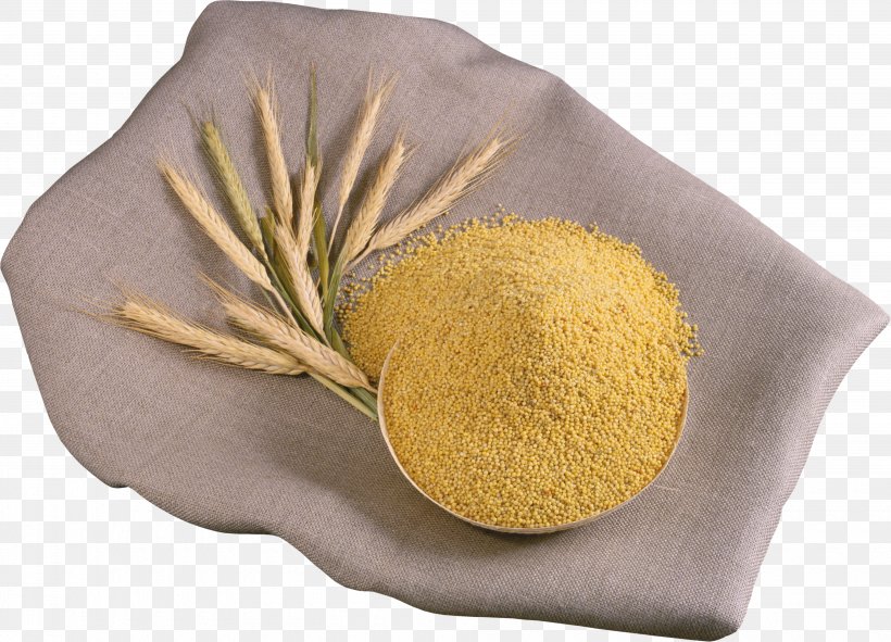 Wheat Porridge Congee Foxtail Millet Caryopsis Rice, PNG, 3880x2801px, Foxtail Millet, Commodity, Congee, Food, Grauds Download Free