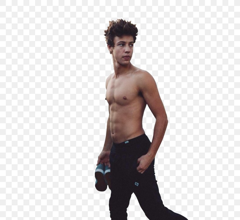 Cameron Dallas Chasing Cameron Jack & Jack, PNG, 500x750px, Watercolor, Cartoon, Flower, Frame, Heart Download Free
