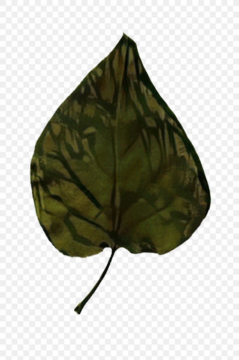Camouflage M Leaf, PNG, 2298x3456px, Camouflage M, Anthurium, Camouflage, Green, Leaf Download Free