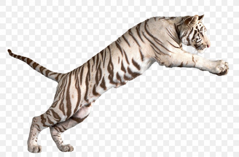 Bengal Tiger White Tiger Clip Art, PNG, 1358x892px, Bengal Tiger, Animal, Animal Figure, Big Cats, Carnivoran Download Free