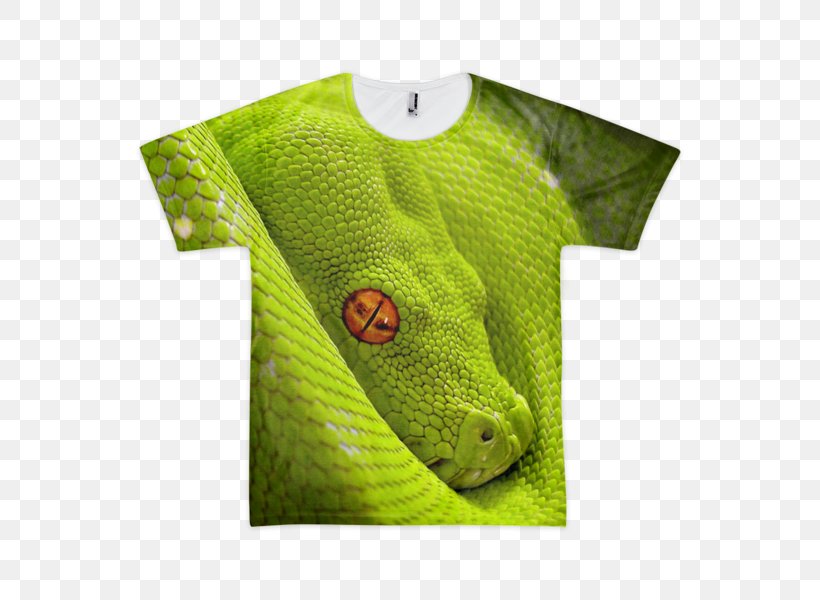 Corn Snake Reptile Green Tree Python Smooth Green Snake, PNG, 600x600px, Snake, Color, Corn Snake, Eye, Grass Download Free