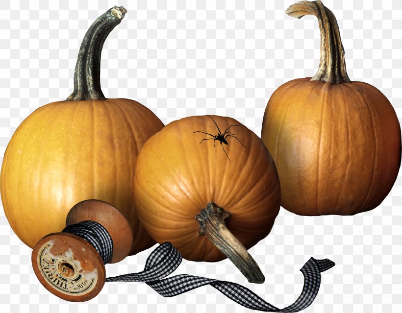 Pumpkin Calabaza Winter Squash Gourd Cucurbita, PNG, 2496x1948px, Pumpkin, Calabaza, Cucurbita, Gourd, Gourdm Download Free