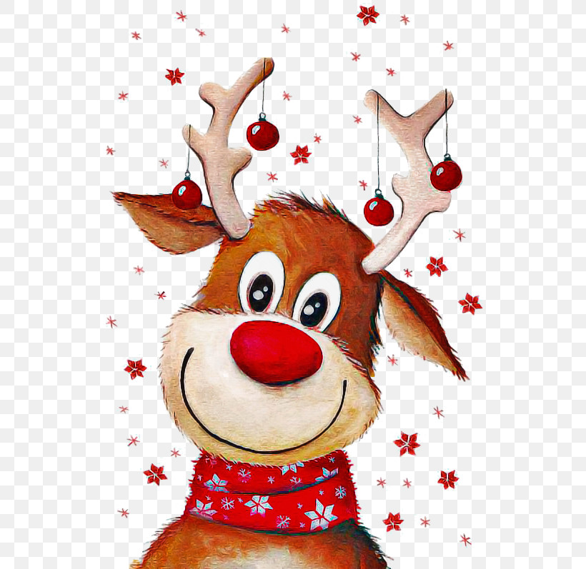 Reindeer, PNG, 564x797px, Deer, Reindeer Download Free