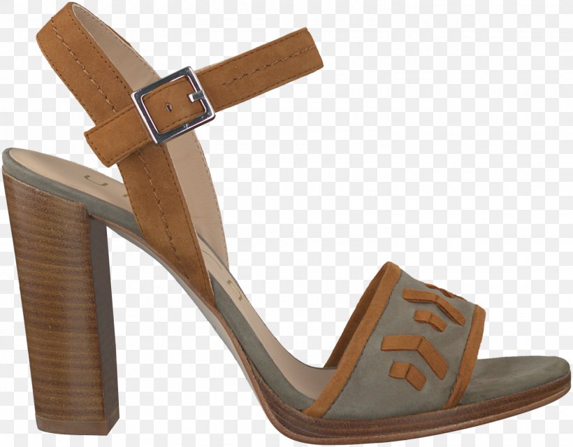 Slipper Sandal Taupe Shoe Wedge, PNG, 1500x1169px, Slipper, Absatz, Ballet Flat, Basic Pump, Beige Download Free