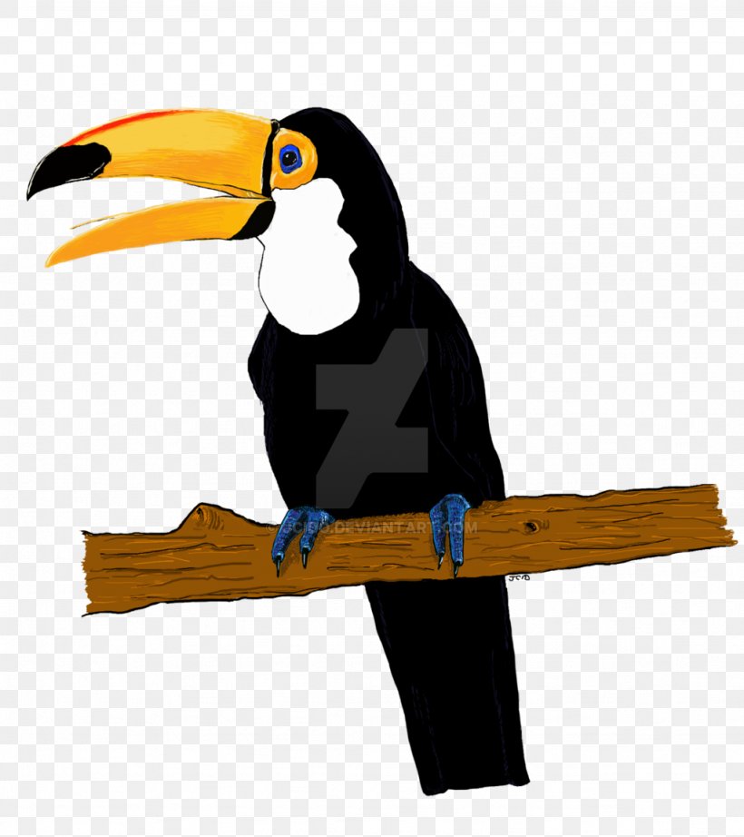 Toucan Bird Drawing Art, PNG, 1024x1152px, Toucan, Animal, Art, Beak, Bird Download Free