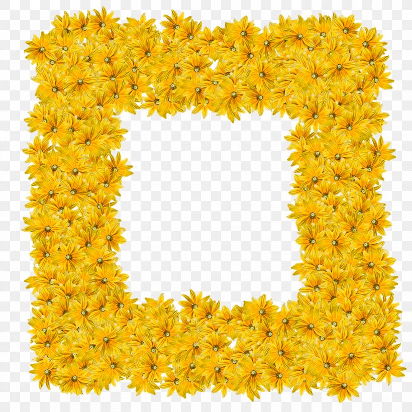 Yellow Picture Frames Flower Drawing Color, PNG, 1728x1728px, Yellow, Bbcode, Color, Cut Flowers, Drawing Download Free