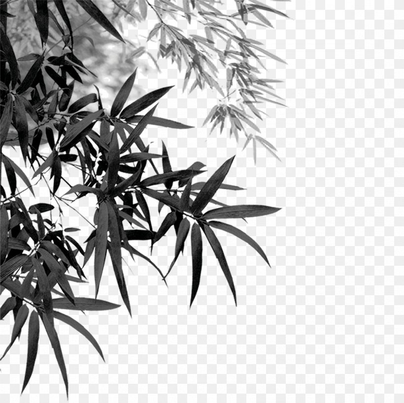 Bamboo Ink Brush, PNG, 1181x1181px, Bamboo, Black And White, Branch, Calligraphy, Dwg Download Free