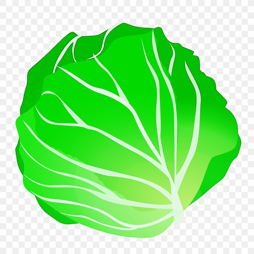 Green Cabbage Leaf Vegetable Leaf Vegetable, PNG, 1000x1000px, Green, Cabbage, Leaf, Leaf Vegetable, Lettuce Download Free