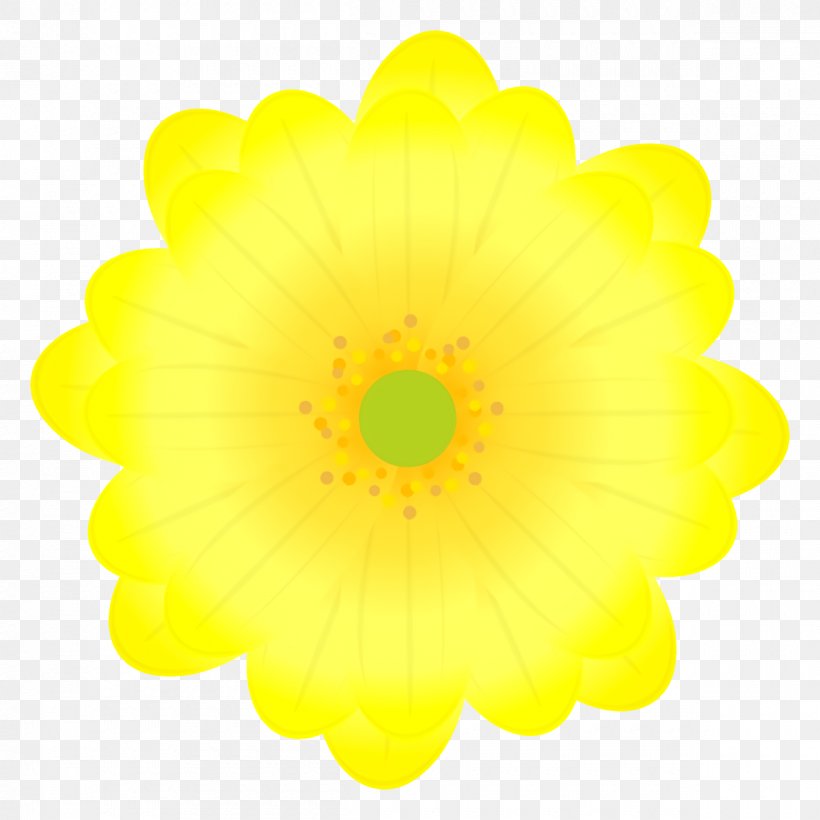 Sunflower, PNG, 1200x1200px, Yellow, Daisy Family, Flower, Gerbera, Petal Download Free