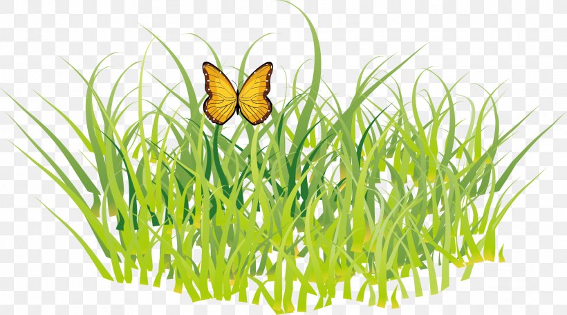 Butterfly GRASS GIS, PNG, 2174x1207px, Butterfly, Butterflies And Moths, Commodity, Flower, Grass Download Free