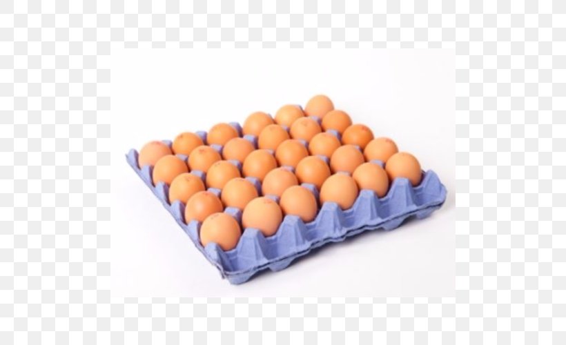 Chicken Broiler Free-range Eggs Free Range, PNG, 500x500px, Chicken, Broiler, Common Quail, Egg, Egg Carton Download Free