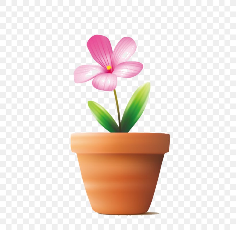Flower Color White, PNG, 523x800px, Flower, Carissa Carandas, Color, Flowering Plant, Flowerpot Download Free