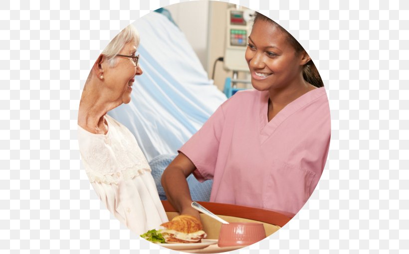 Home Care Service Health Care Caregiver Nursing Home Patient, PNG, 509x509px, Home Care Service, Activities Of Daily Living, Aged Care, Caregiver, Cook Download Free