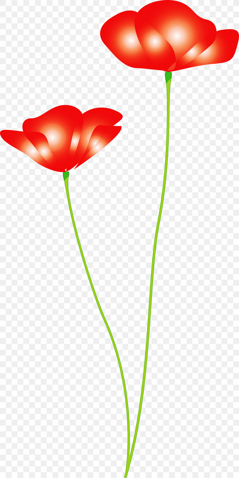 Poppy Flower, PNG, 1500x3000px, Poppy Flower, Anthurium, Coquelicot, Corn Poppy, Flower Download Free