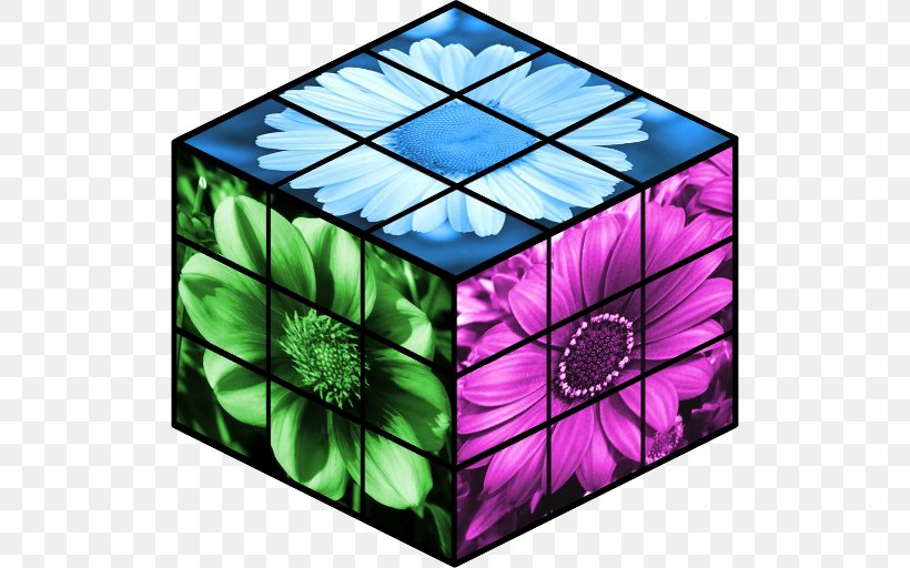 Window Symmetry Rectangle Pattern, PNG, 512x512px, Window, Flower, Glass, Green, Petal Download Free