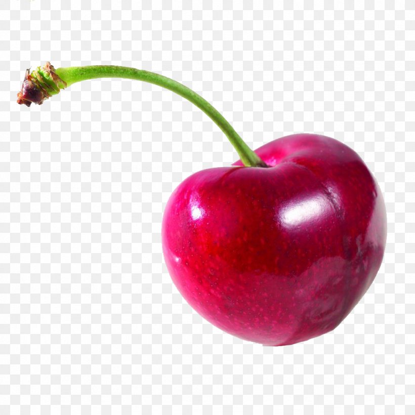 Cherry Fruit, PNG, 1024x1024px, Cherry, Accessory Fruit, Apple, Auglis, Berry Download Free