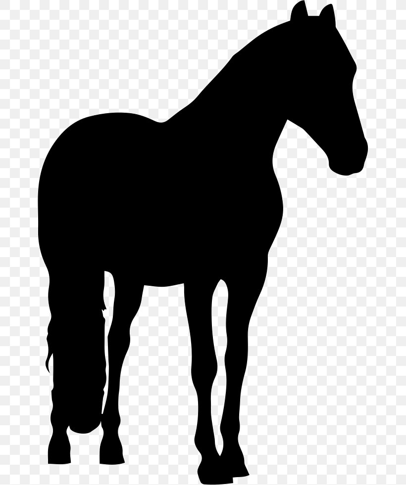 Shire Horse Friesian Horse Andalusian Horse Percheron Appaloosa, PNG, 668x981px, Shire Horse, Andalusian Horse, Appaloosa, Black, Black And White Download Free