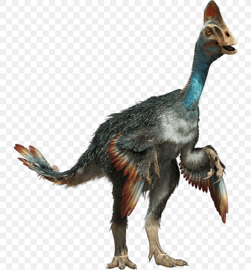 Velociraptor Chirostenotes Baryonyx Gorgosaurus Nomingia, PNG, 732x882px, Velociraptor, Baryonyx, Chirostenotes, Dinosaur, Fauna Download Free