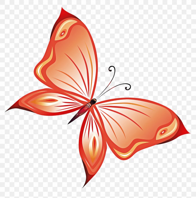 Butterfly Leaf Clip Art Moths And Butterflies Plant, PNG, 1864x1878px, Butterfly, Leaf, Logo, Moths And Butterflies, Plant Download Free