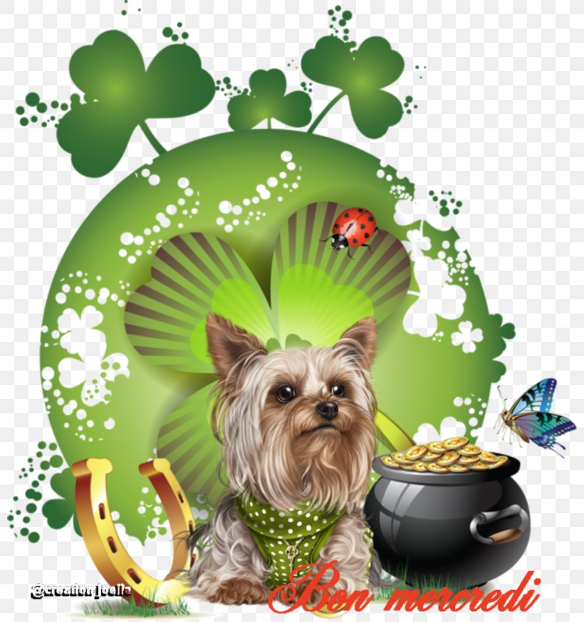 Four-leaf Clover Clip Art, PNG, 800x873px, Clover, Cairn Terrier, Carnivoran, Christmas Ornament, Dog Download Free