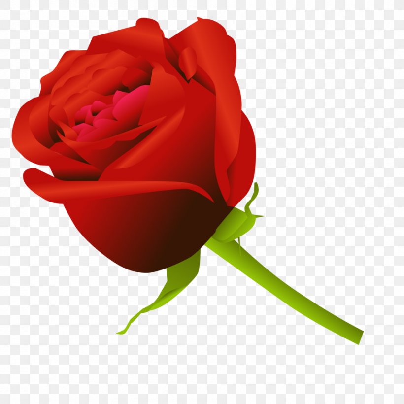 Rose Flower Drawing Clip Art, PNG, 900x900px, Rose, Bud, China Rose, Close Up, Cut Flowers Download Free