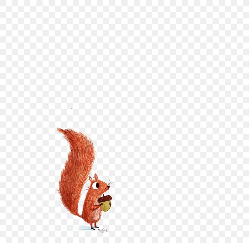 Squirrel Illustration, PNG, 564x800px, Squirrel, Alex T Smith, Art, Drawing, Idea Download Free