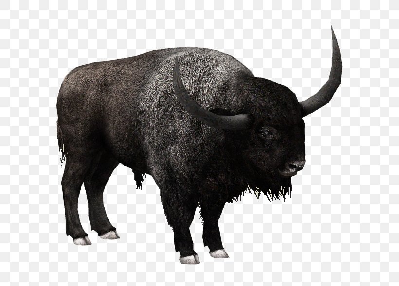 Zoo Tycoon 2 American Bison Bison Latifrons Water Buffalo FInal Fantasy XV: Episode Ignis, PNG, 589x589px, Bison Latifrons, American Bison, Animal, Bison, Bull Download Free