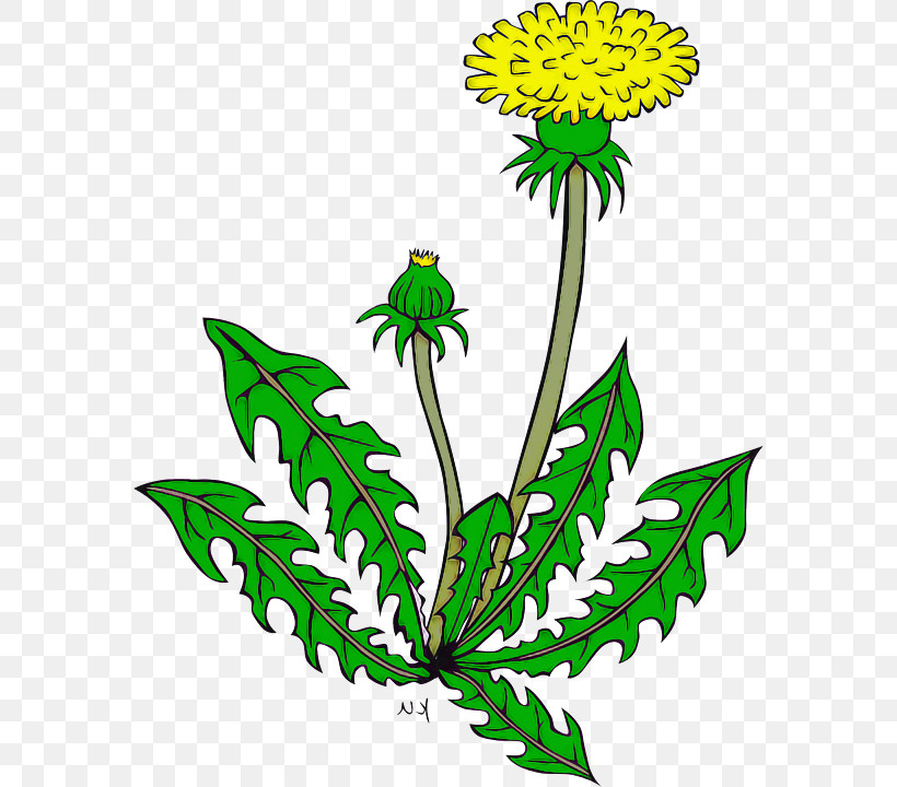 Flower Plant Leaf Herbaceous Plant Tagetes, PNG, 576x720px, Flower, Goldenrod, Herbaceous Plant, Leaf, Plant Download Free