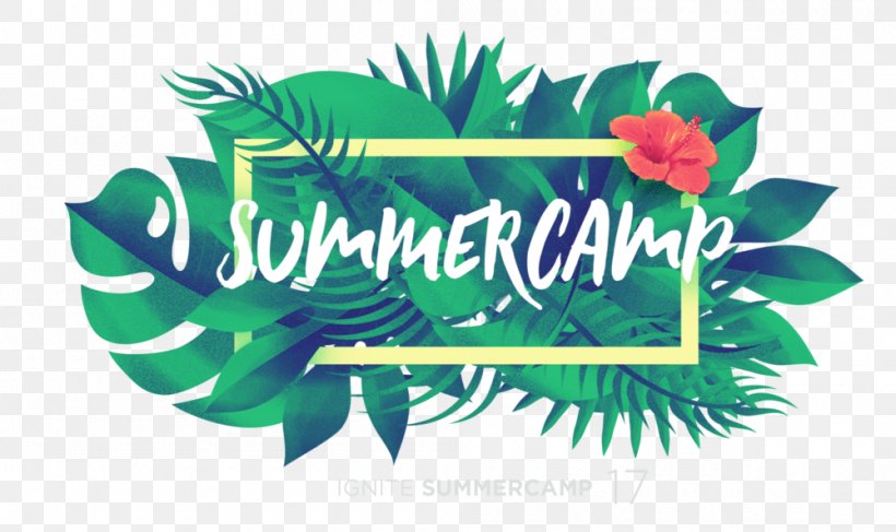 Summer Camp Graphic Design Logo Camping, PNG, 1000x595px, 2018, Summer Camp, Adolescence, Brand, Camping Download Free